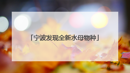 宁波发现全新水母物种