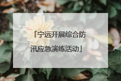 宁远开展综合防汛应急演练活动