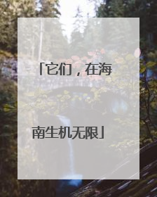 它们，在海南生机无限