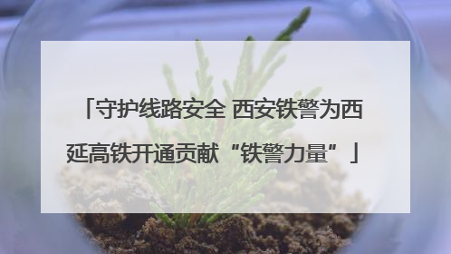 守护线路安全 西安铁警为西延高铁开通贡献“铁警力量”