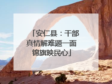 安仁县：干部真情解难题一面锦旗映民心
