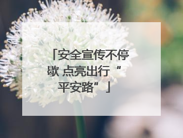 安全宣传不停歇 点亮出行“平安路”