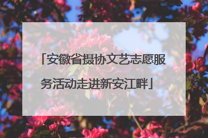 安徽省摄协文艺志愿服务活动走进新安江畔