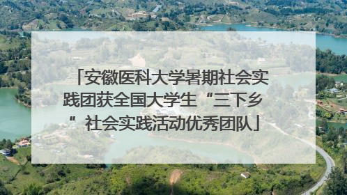 安徽医科大学暑期社会实践团获全国大学生“三下乡”社会实践活动优秀团队