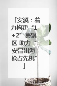 安溪：着力构建“1+2”集聚区 助力“安品出海·抢占先机”