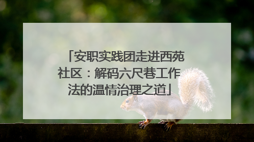 安职实践团走进西苑社区：解码六尺巷工作法的温情治理之道