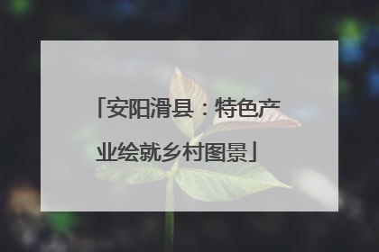 安阳滑县：特色产业绘就乡村图景