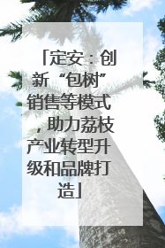 定安：创新“包树”销售等模式，助力荔枝产业转型升级和品牌打造