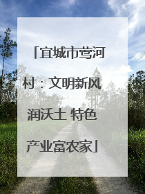 宜城市莺河村：文明新风润沃土 特色产业富农家