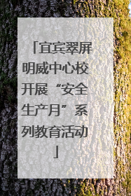 宜宾翠屏明威中心校开展“安全生产月”系列教育活动