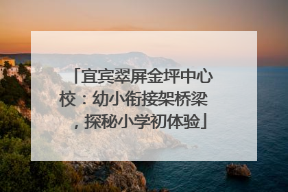 宜宾翠屏金坪中心校：幼小衔接架桥梁，探秘小学初体验