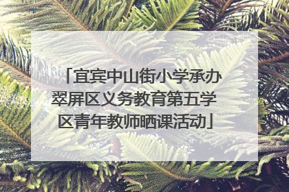 宜宾中山街小学承办翠屏区义务教育第五学区青年教师晒课活动
