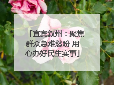 宜宾叙州：聚焦群众急难愁盼 用心办好民生实事