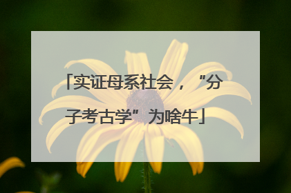 实证母系社会，“分子考古学”为啥牛