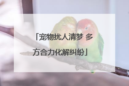 宠物扰人清梦 多方合力化解纠纷