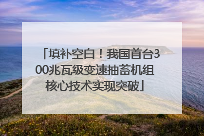 填补空白！我国首台300兆瓦级变速抽蓄机组核心技术实现突破