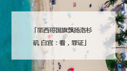 墨西哥国旗飘扬洛杉矶 白宫：看，罪证
