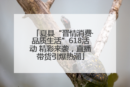 夏县“晋情消费·品质生活”618活动 精彩来袭，直播带货引爆热潮