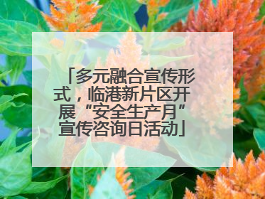 多元融合宣传形式，临港新片区开展“安全生产月”宣传咨询日活动