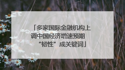 多家国际金融机构上调中国经济增速预期 “韧性”成关键词