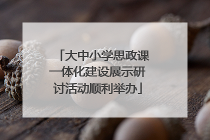 大中小学思政课一体化建设展示研讨活动顺利举办
