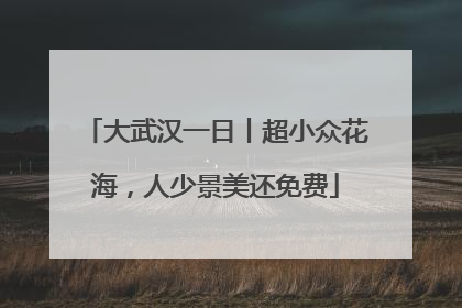 大武汉一日丨超小众花海，人少景美还免费
