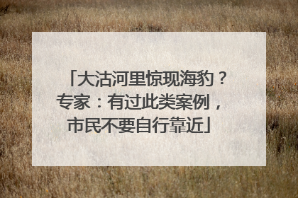 大沽河里惊现海豹？专家：有过此类案例，市民不要自行靠近