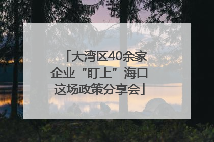 大湾区40余家企业“盯上”海口这场政策分享会