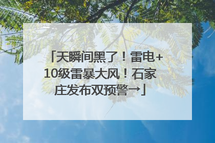 天瞬间黑了！雷电+10级雷暴大风！石家庄发布双预警→