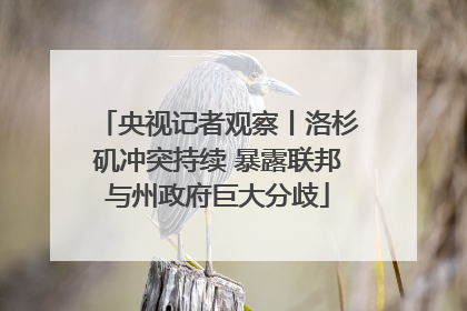 央视记者观察丨洛杉矶冲突持续 暴露联邦与州政府巨大分歧