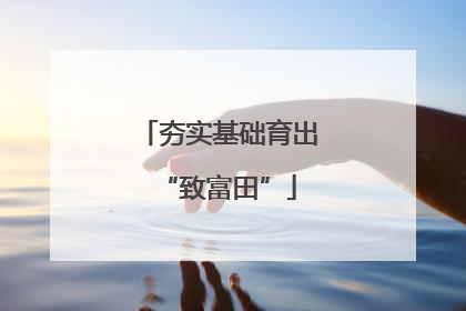 夯实基础育出“致富田”