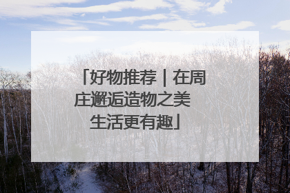 好物推荐｜在周庄邂逅造物之美 生活更有趣