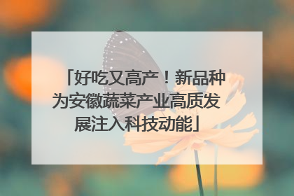 好吃又高产！新品种为安徽蔬菜产业高质发展注入科技动能