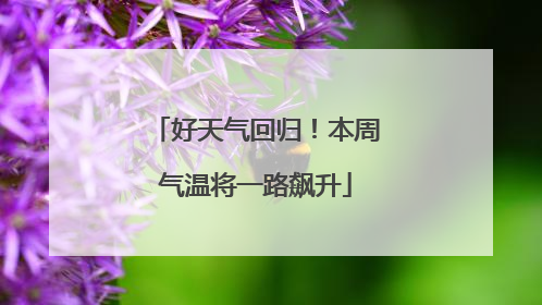 好天气回归！本周气温将一路飙升
