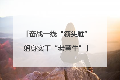 奋战一线“领头雁” 躬身实干“老黄牛”