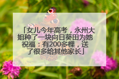 女儿今年高考，永州大姐种了一块向日葵田为她祝福：有200多棵，送了很多给其他家长