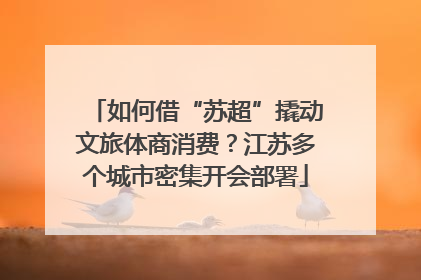 如何借“苏超”撬动文旅体商消费？江苏多个城市密集开会部署