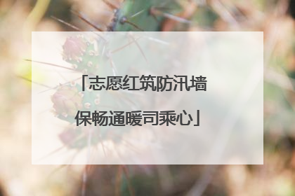 志愿红筑防汛墙 保畅通暖司乘心