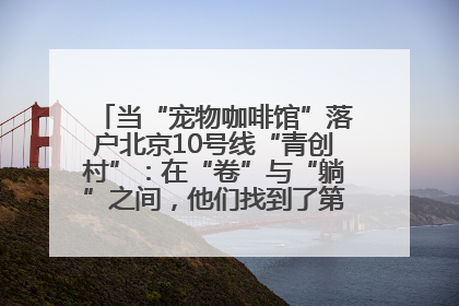 当“宠物咖啡馆”落户北京10号线“青创村”：在“卷”与“躺”之间，他们找到了第三种生活公式