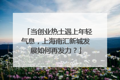 当创业热土遇上年轻气息，上海南汇新城发展如何再发力？