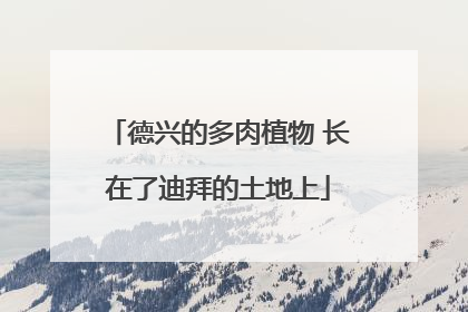 德兴的多肉植物 长在了迪拜的土地上