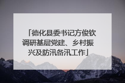 德化县委书记方俊钦调研基层党建、乡村振兴及防汛备汛工作
