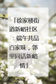 徐家楼街道新峪社区：端午共品百家味，邻里同话新峪情