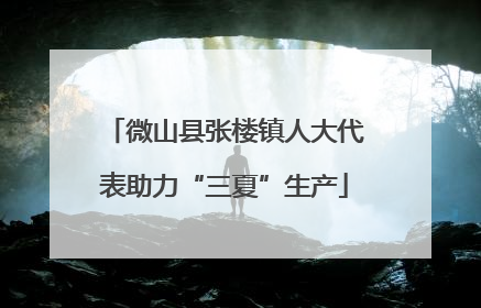 微山县张楼镇人大代表助力“三夏”生产