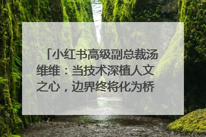 小红书高级副总裁汤维维：当技术深植人文之心，边界终将化为桥梁｜聚焦2025文化强国建设高峰论坛