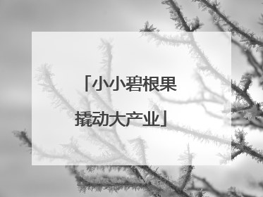 小小碧根果撬动大产业