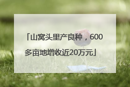 山窝头里产良种，600多亩地增收近20万元