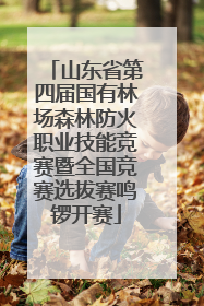 山东省第四届国有林场森林防火职业技能竞赛暨全国竞赛选拔赛鸣锣开赛