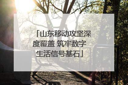 山东移动攻坚深度覆盖 筑牢数字生活信号基石