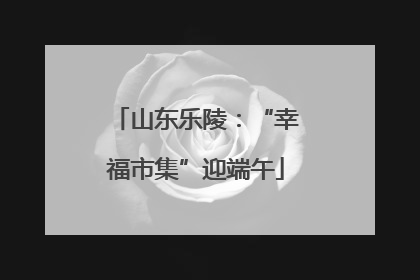 山东乐陵：“幸福市集”迎端午